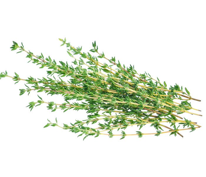 Sprig of Thyme Concert Programme